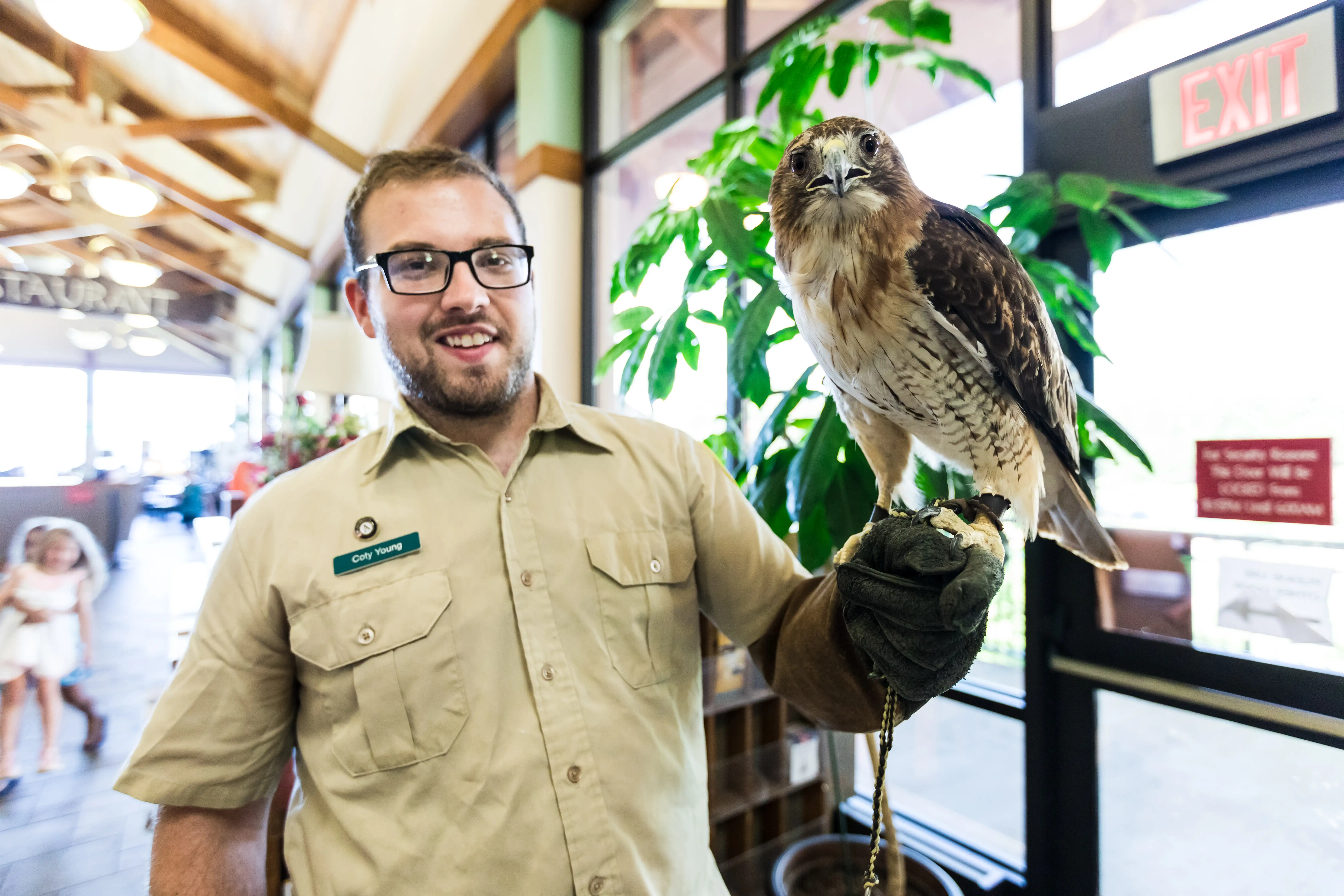 Smiling man holding a hawk indoors, near an exit sign.