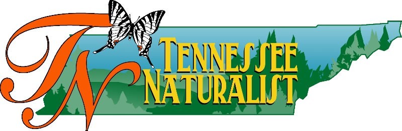 Tennessee Naturalist logo with butterfly and TN state shape