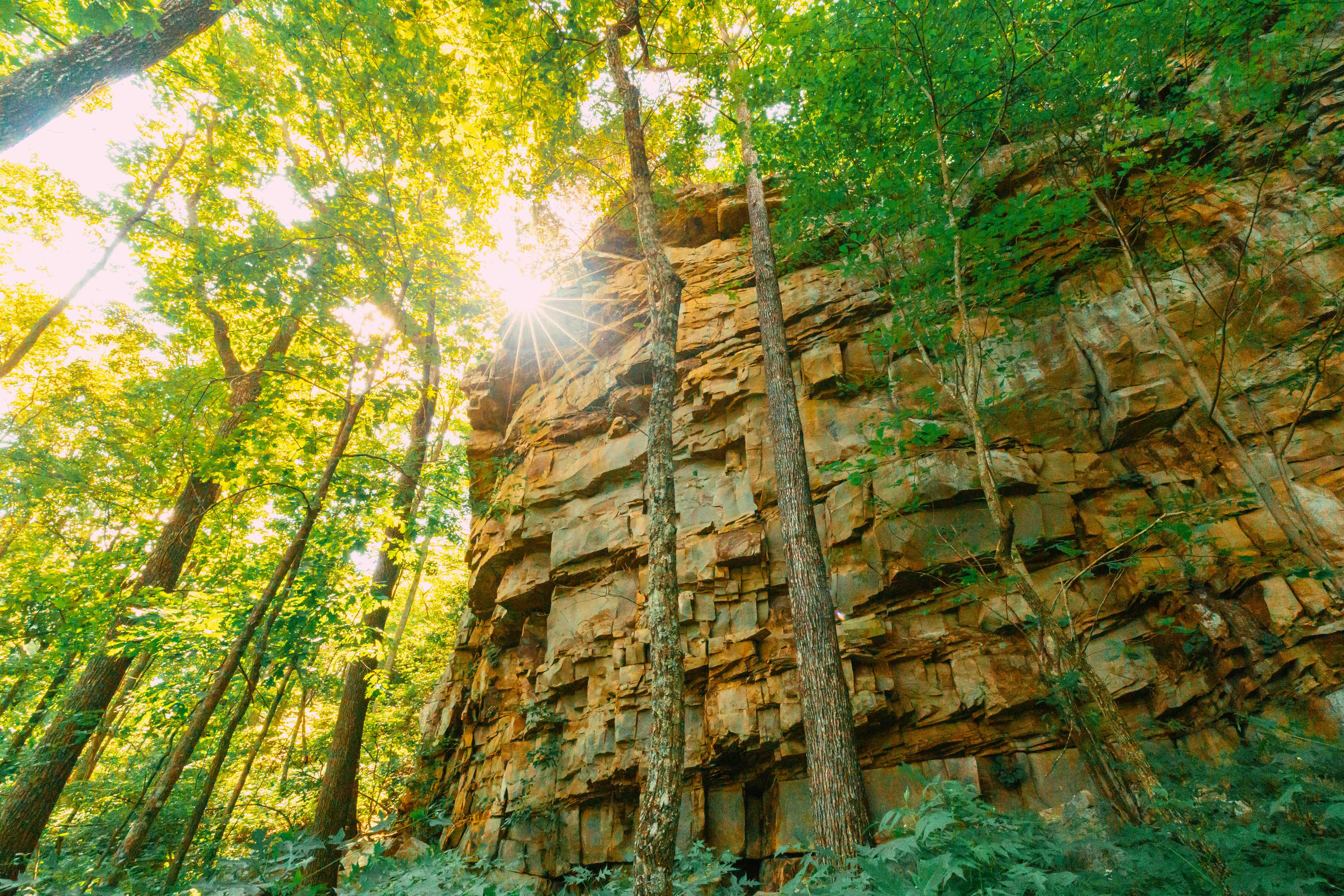 view of below a cliff in a forest with the sun shining through the trees