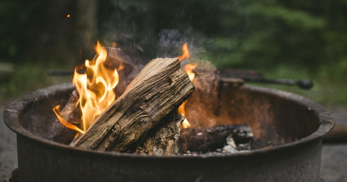 Campfire with burning logs in a metal fire pit, surrounded by greenery.