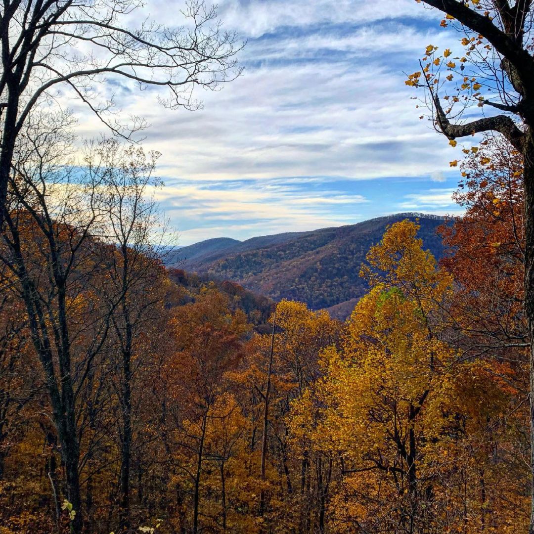 Autumn landscape with colorful trees and distant hills under a cloudy sky.
