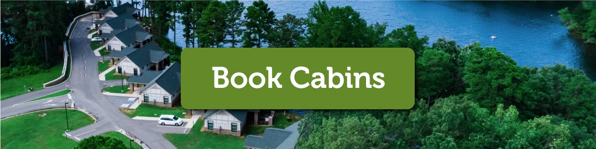 Aerial view of a small cabin resort next to a lake surrounded by trees.