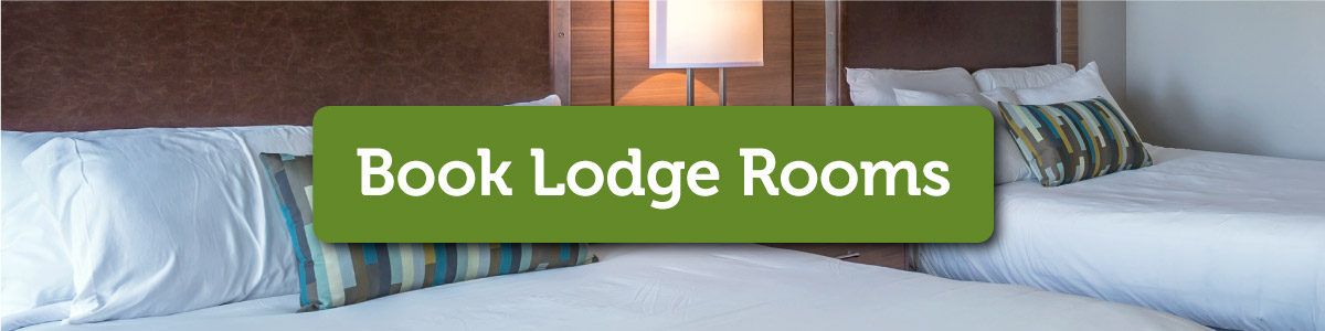 Cozy lodge room with a neatly made bed, warm lighting, and a green call-to-action button.