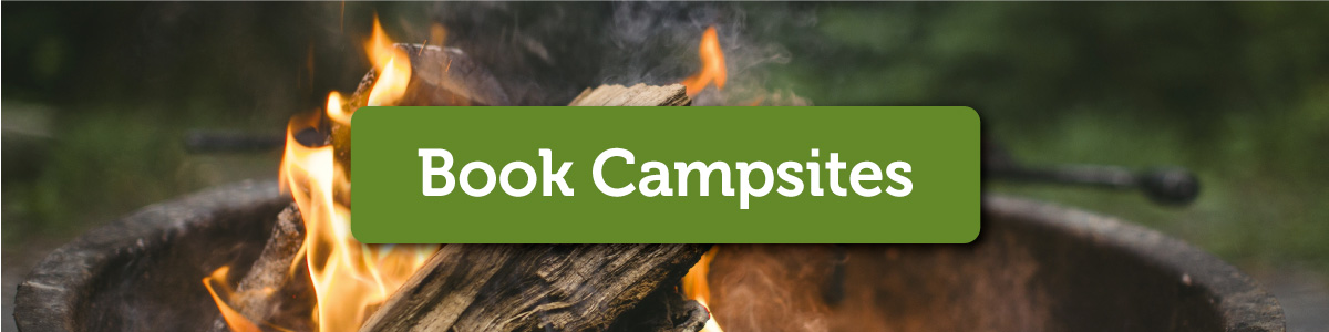 Campfire with a green "Book Campsites" button overlay.