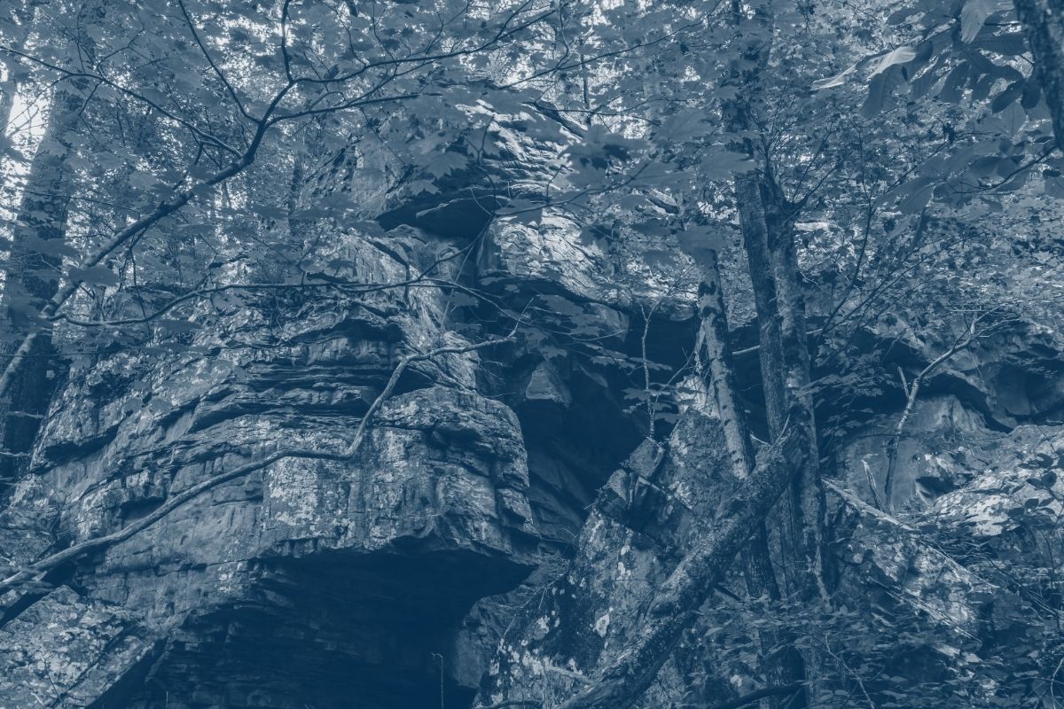 view of the bottom a rocky cliff with some trees