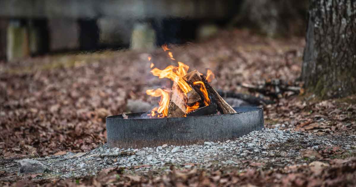 fire pit surrounded by dead leaves