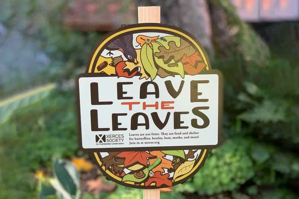 Sign saying "Leave the Leaves" with cartoon animals amidst autumn foliage.