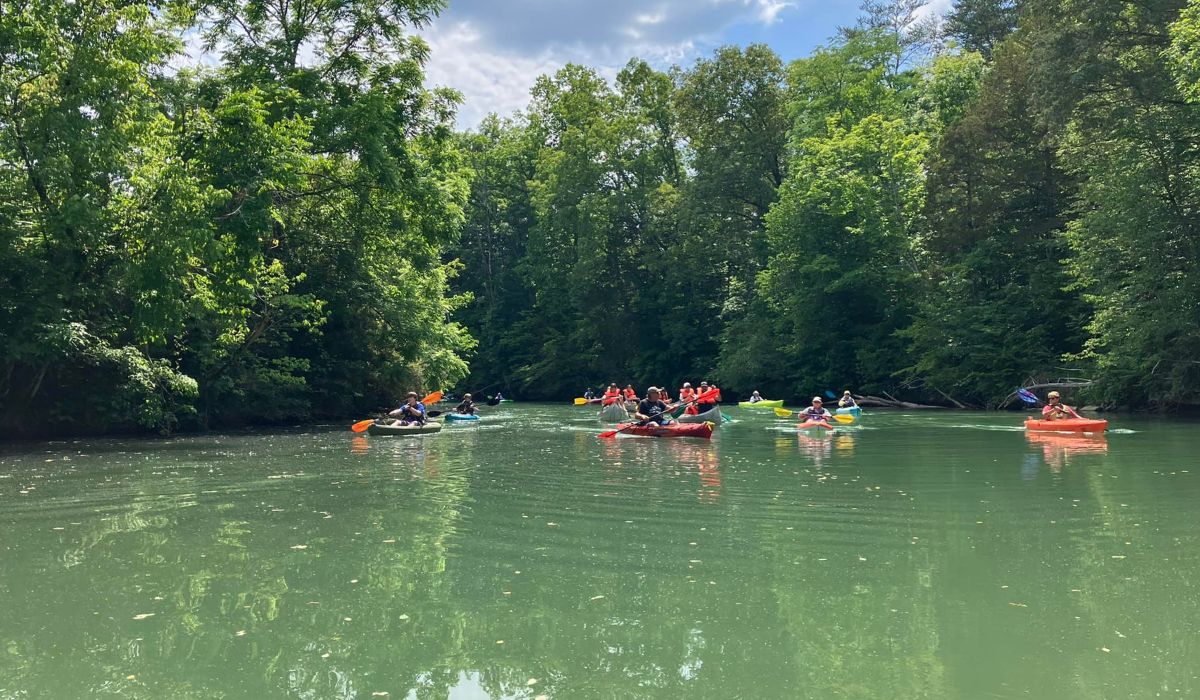 Group of people kayaking on a calm, tree-lined river.