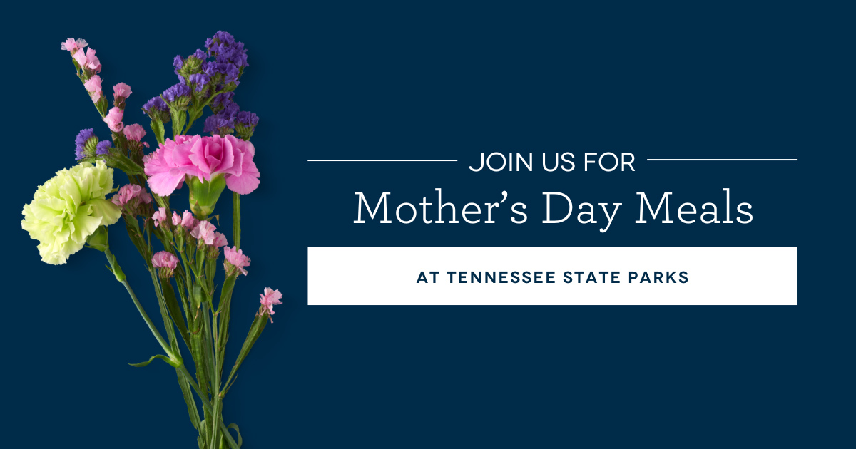 mother_s-day-meals-blog-header