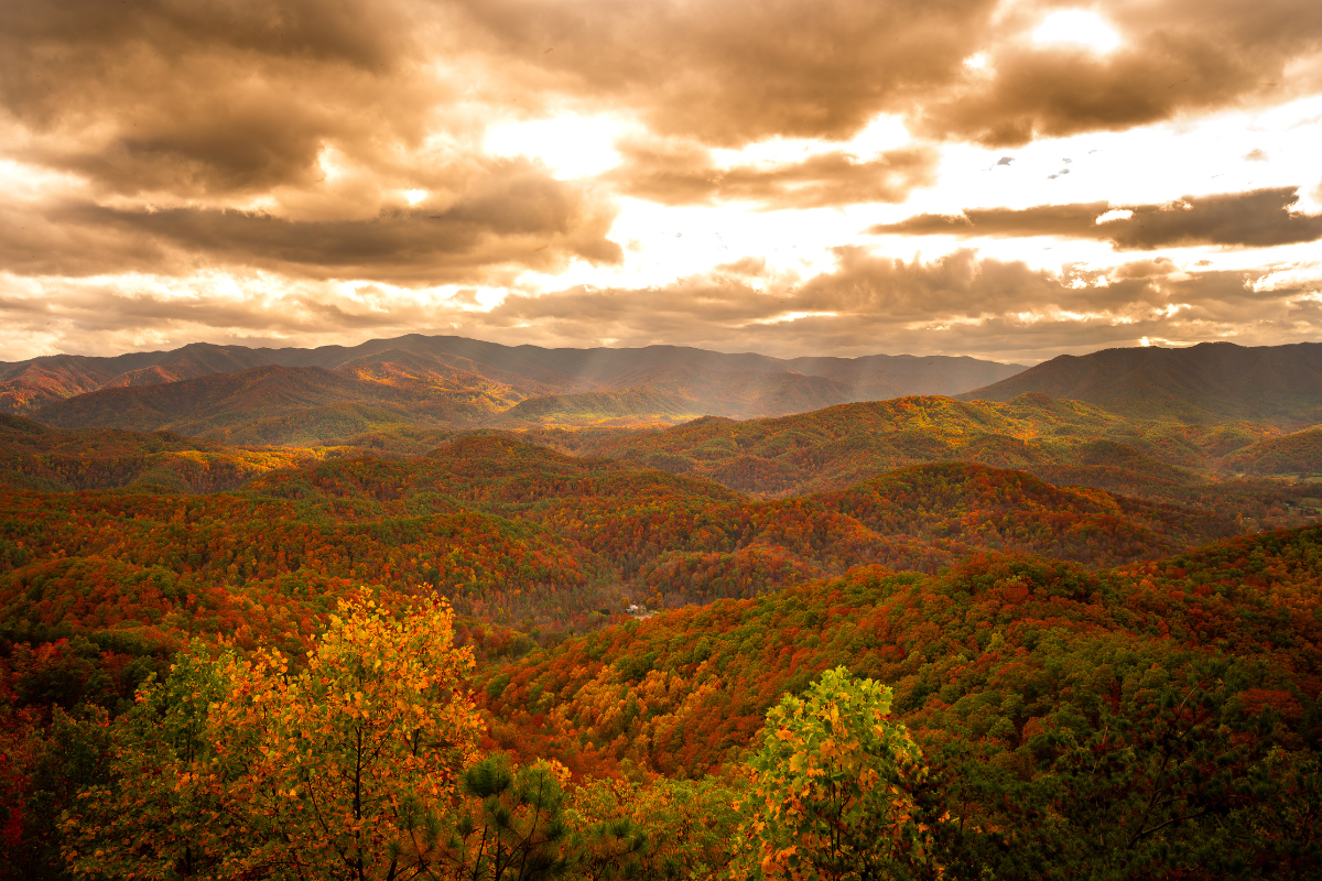 Autumn mountain landscape with rolling hills covered in vibrant fall foliage under a dramatic, cloud-filled sky.