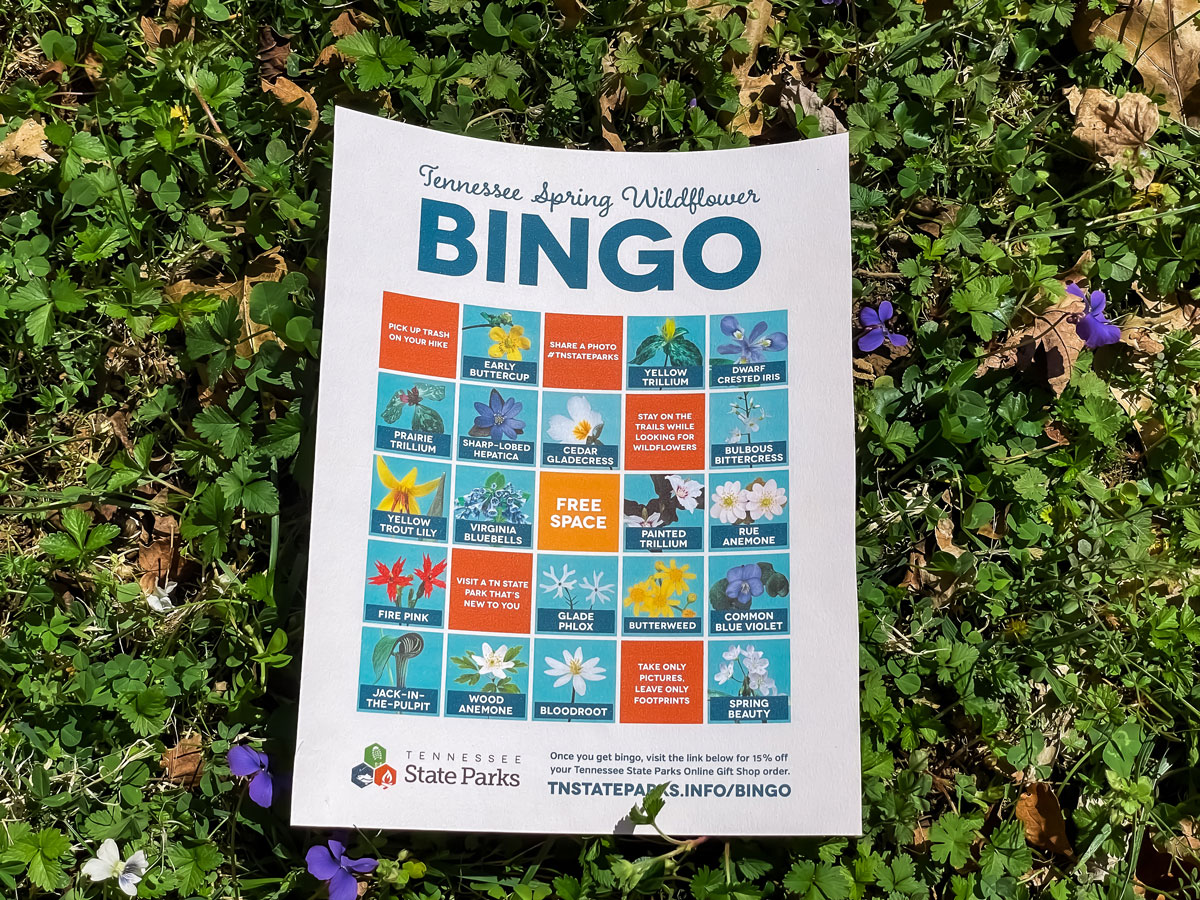 bingo