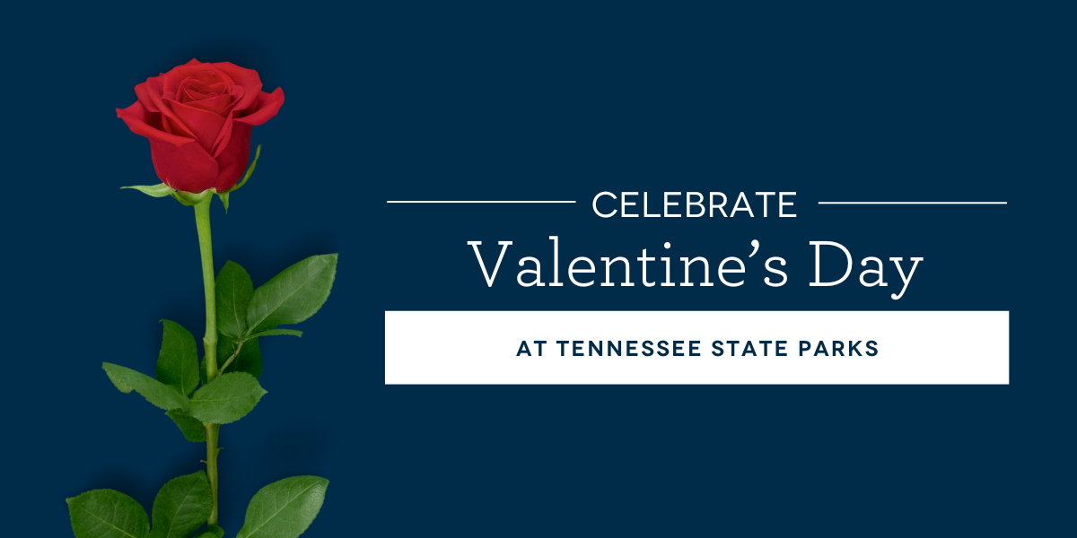 Valentine's Day
