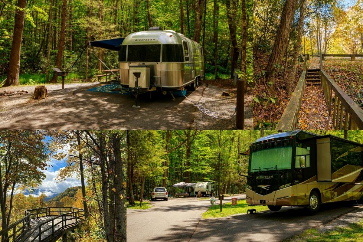 roan_mountain_state_park.jpg