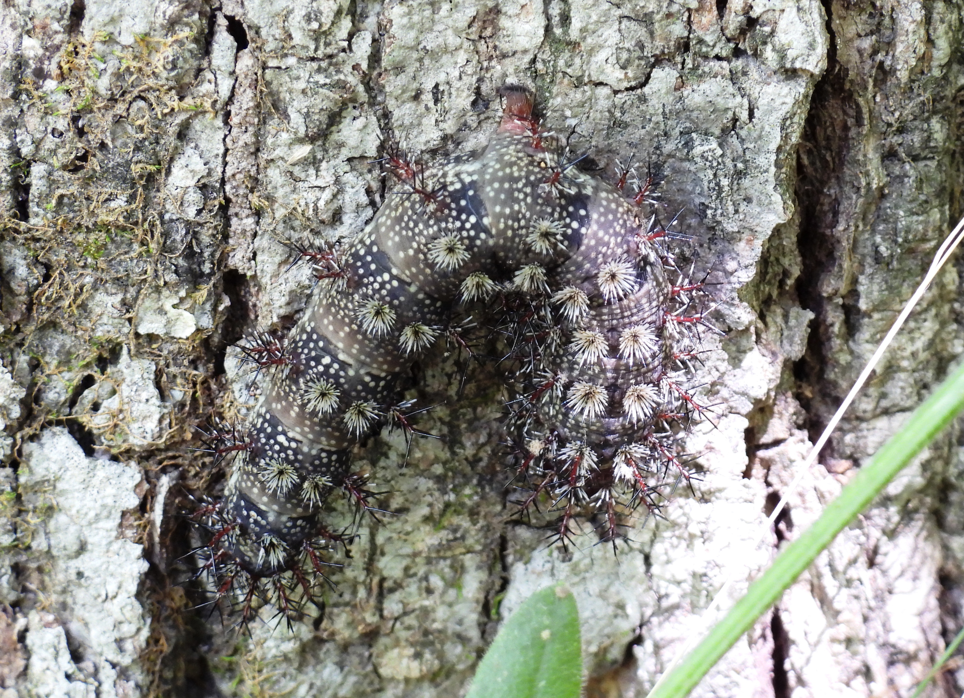 dscn5129.jpg