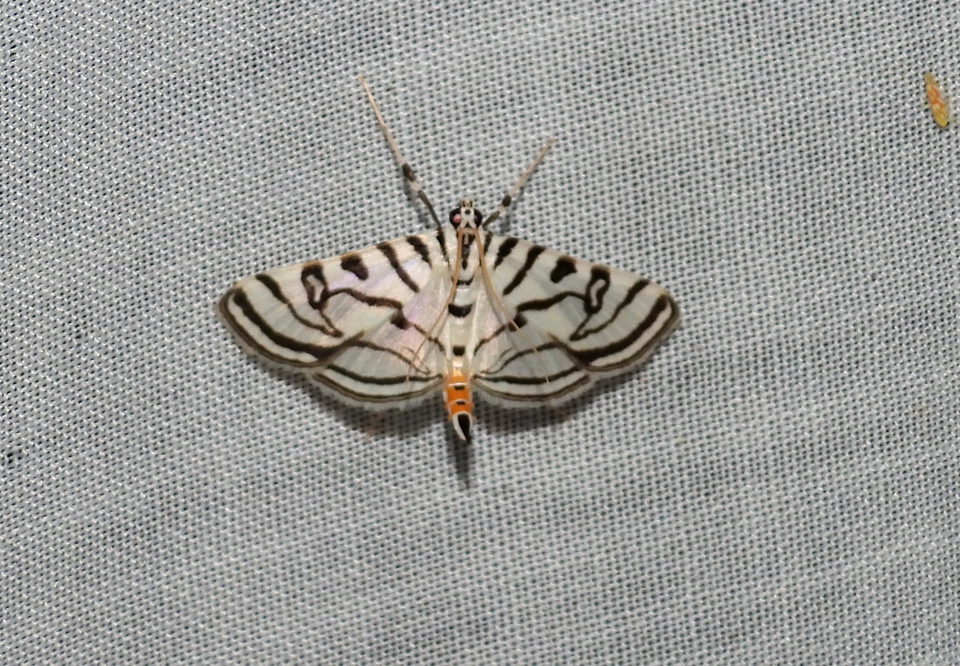 dscn5611.jpg