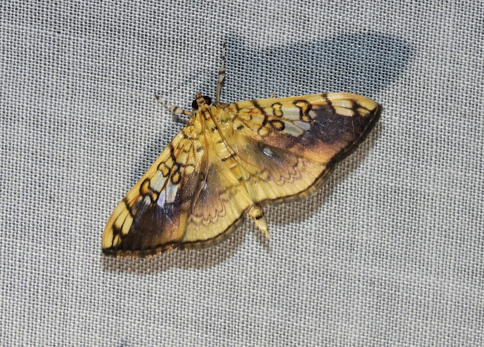dscn5619.jpg