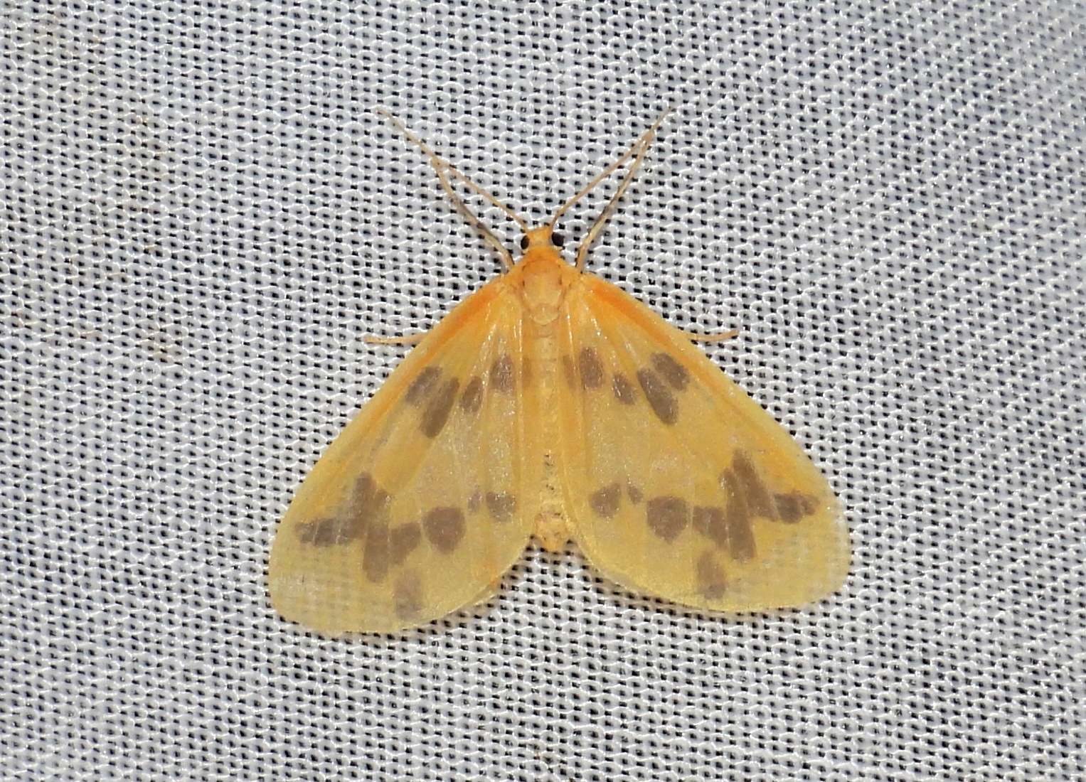 dscn5631.jpg