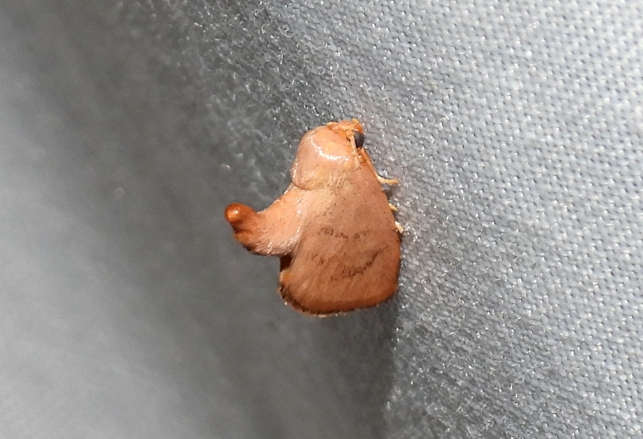 dscn5639.jpg