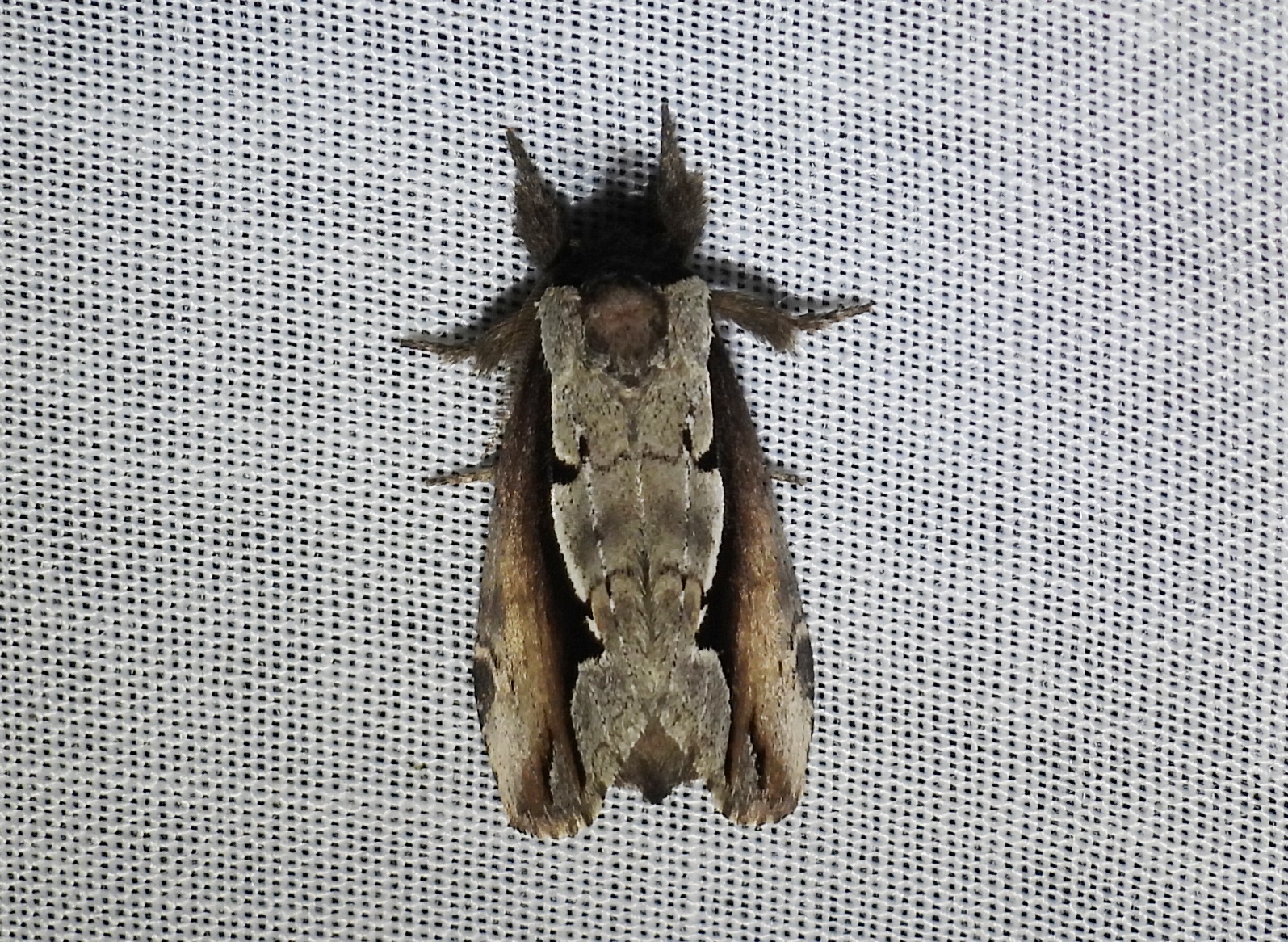 dscn5850.jpg