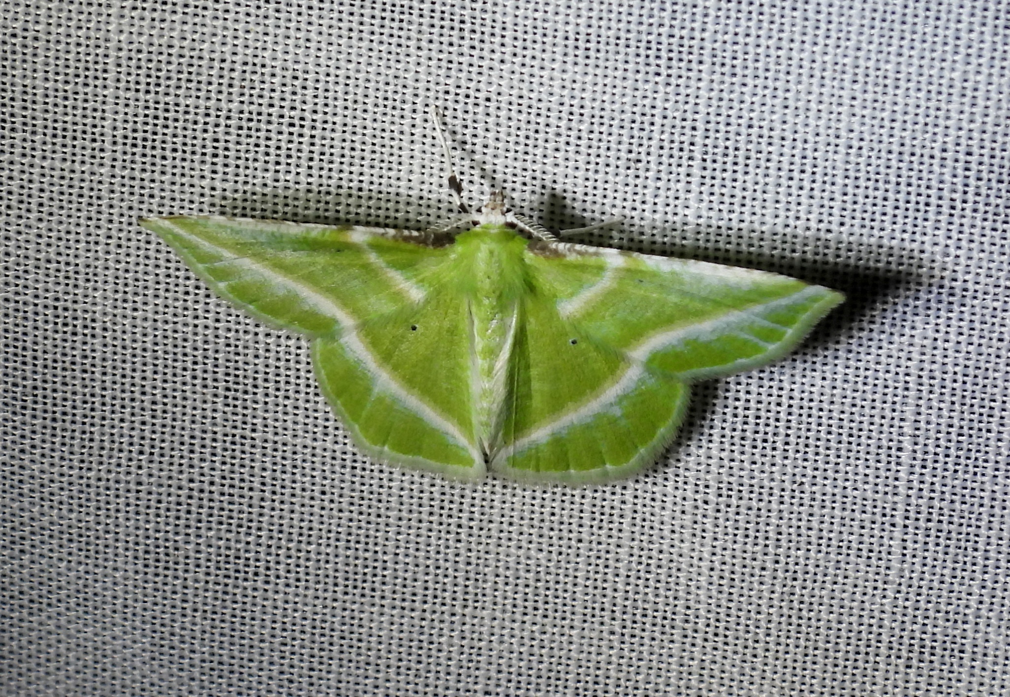 dscn5856.jpg