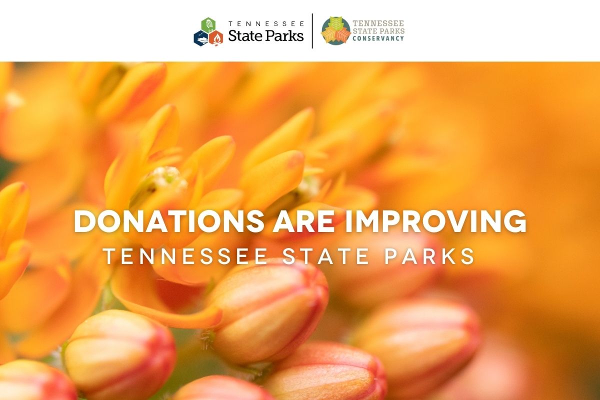 donations_(1).jpg