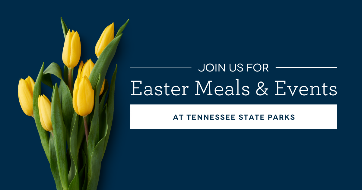 blog_header_easter_2025.png
