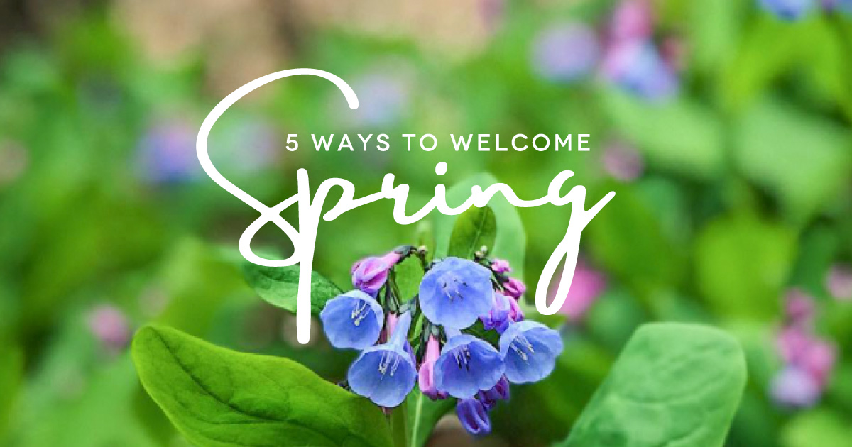 welcome-spring-header.jpg