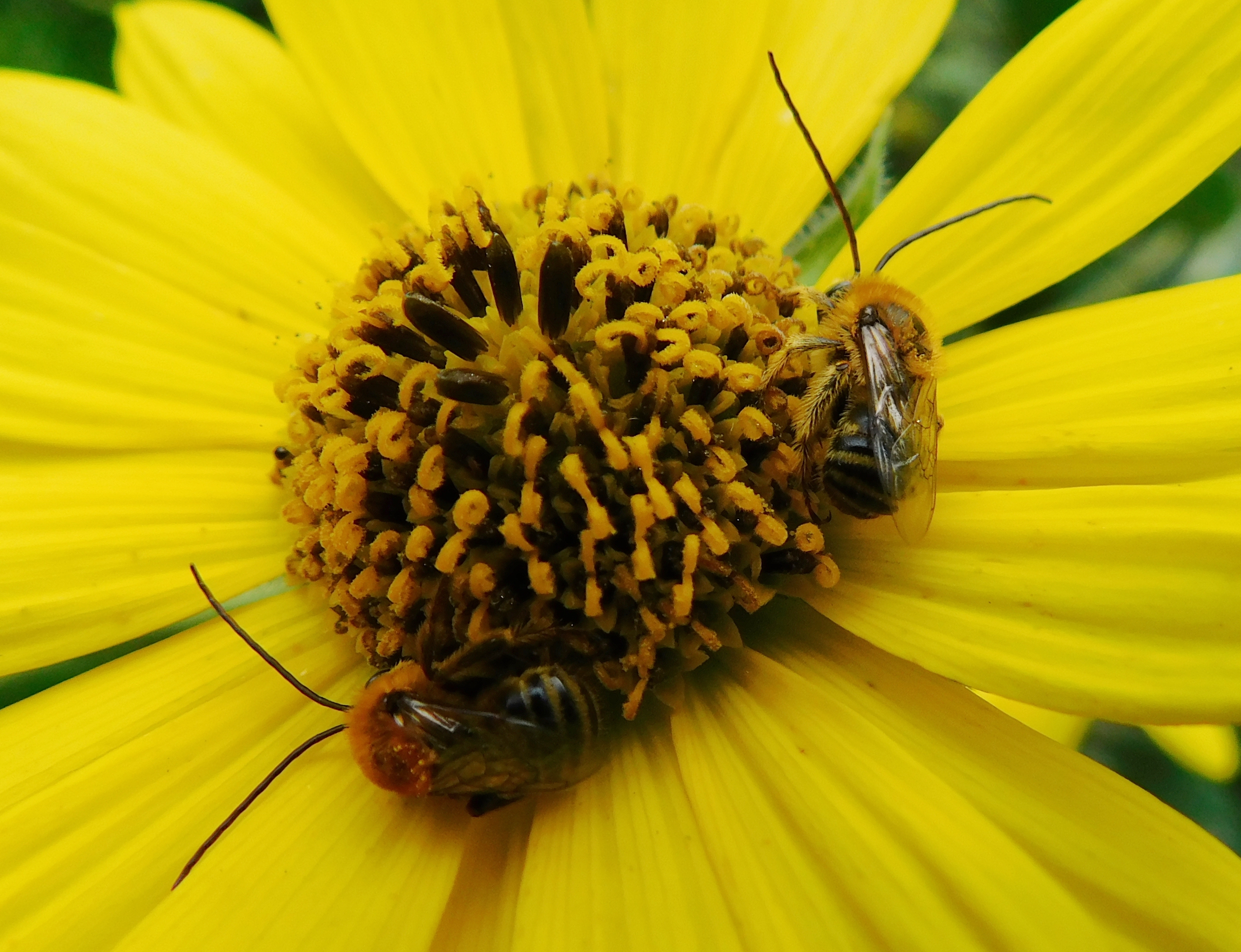 dscn6230.jpg