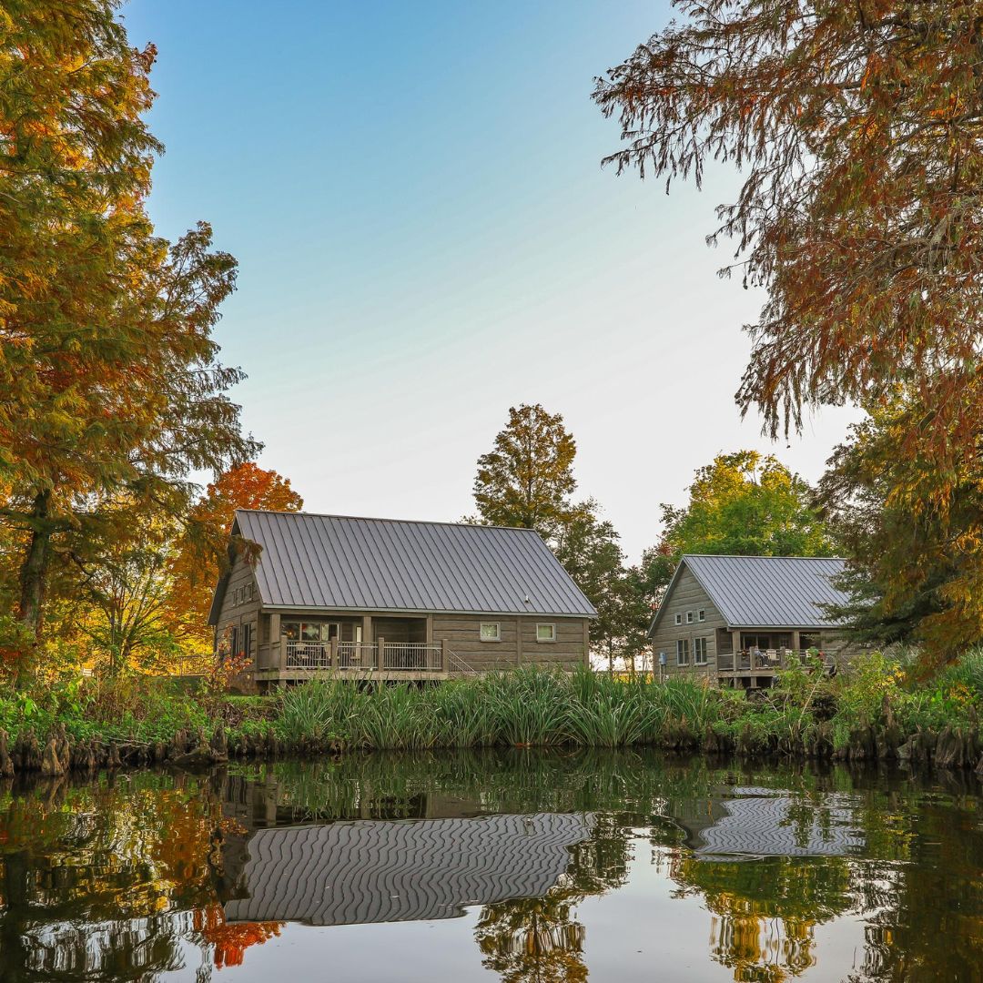 reelfoot.jpg