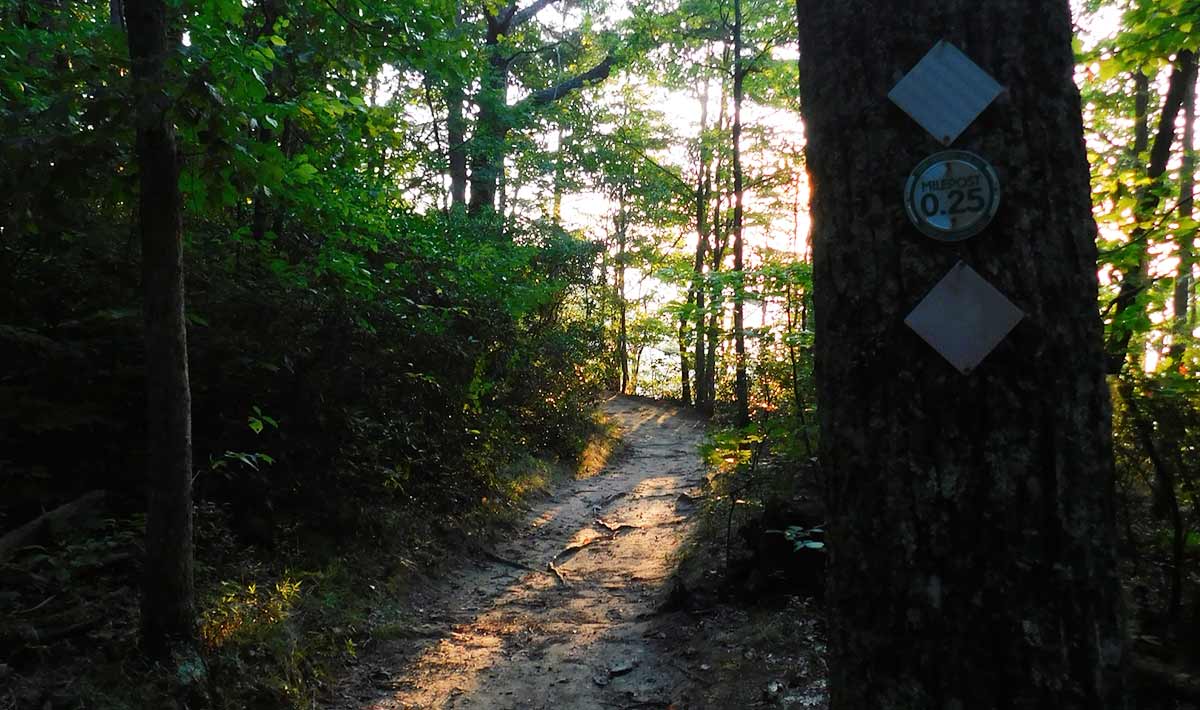 tnstateparks_28454971.jpg