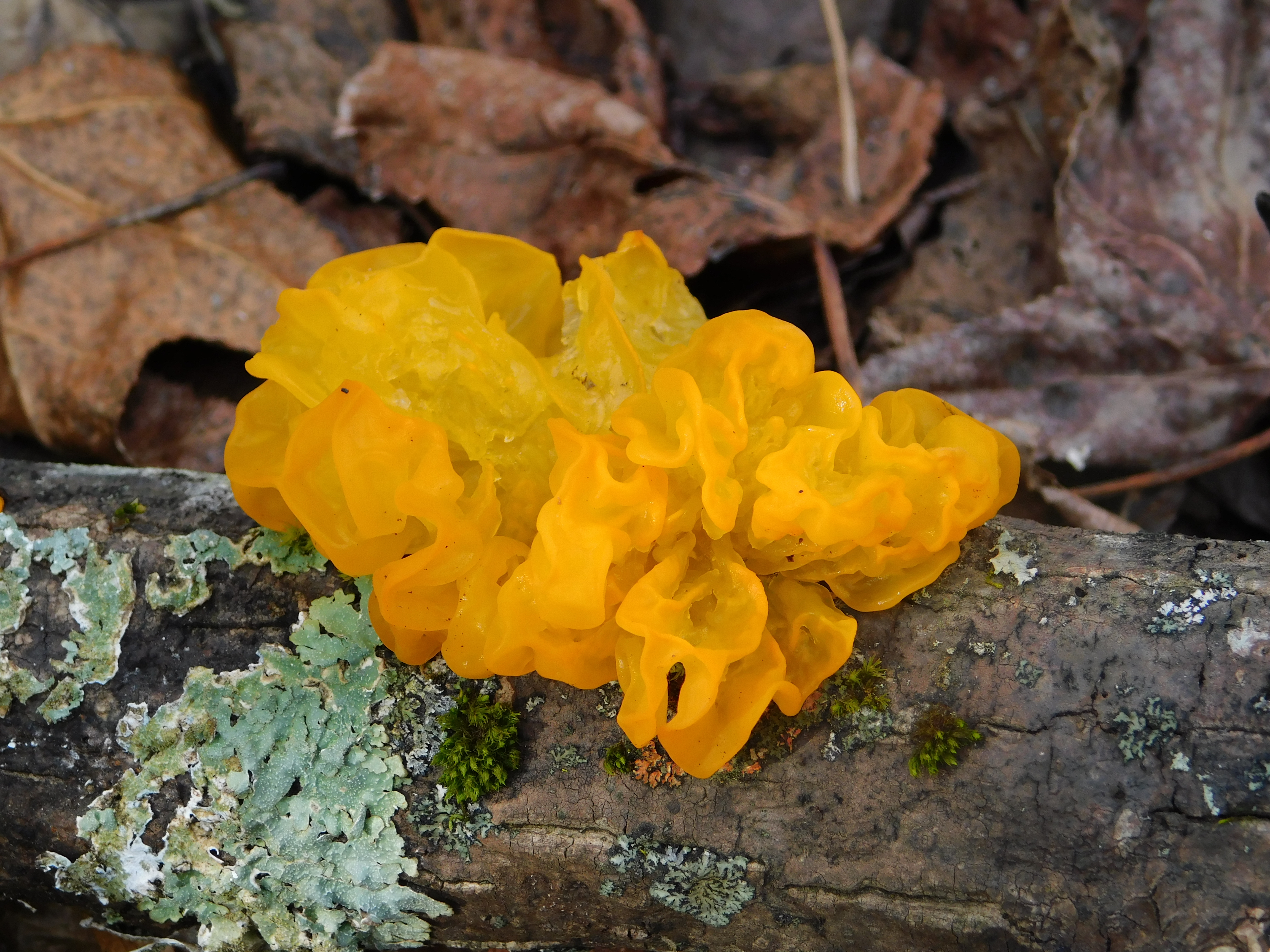 dscn0776.jpg