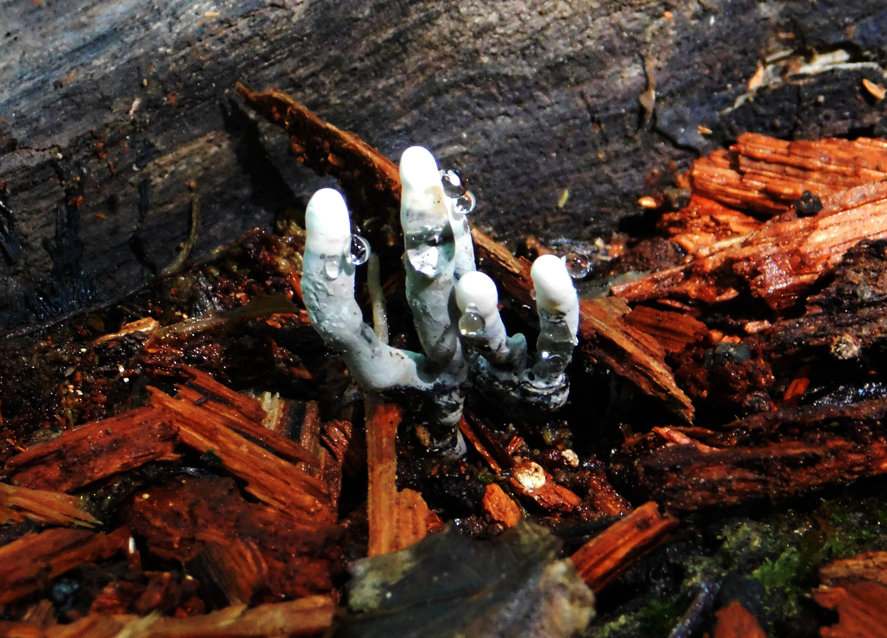 dscn3258.jpg