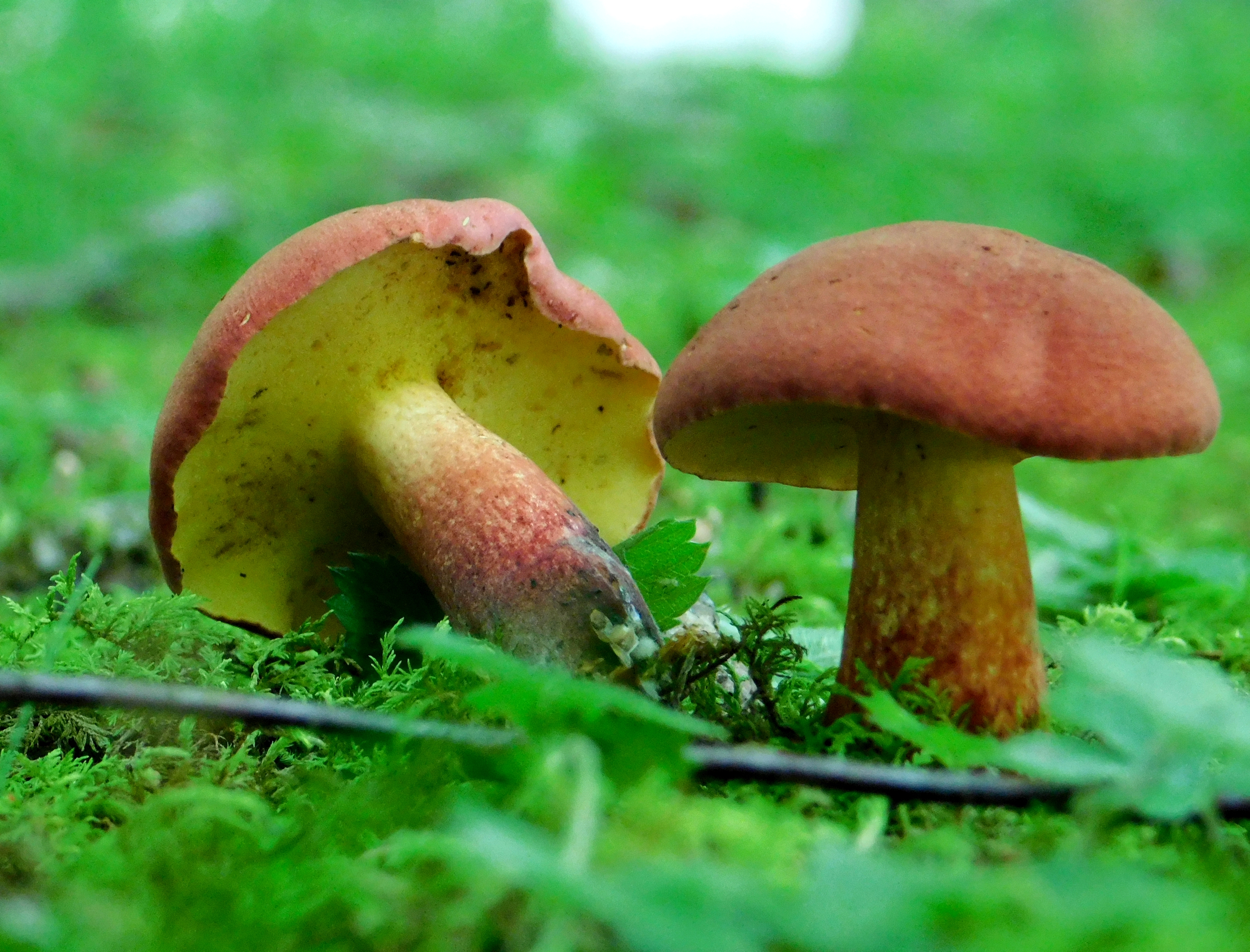 dscn5241.jpg