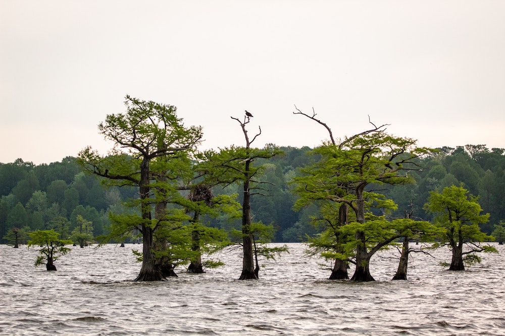 reelfoor_lake_state_park.jpg