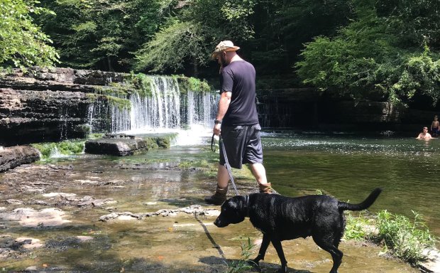 a man walking his dog near the blue hole waterfall of old stone state park in TN