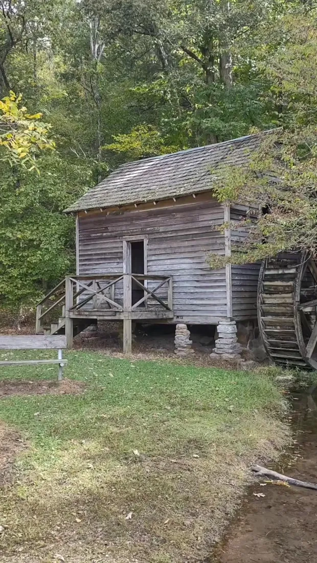 Old wooden watermill beside a serene stream in a lush, green forest. The structure is rustic, evoking a peaceful, timeless atmosphere.