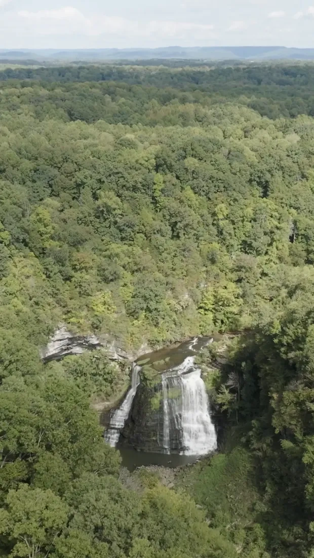 An aerial drone view of Burgess Falls and the surrounding forest.