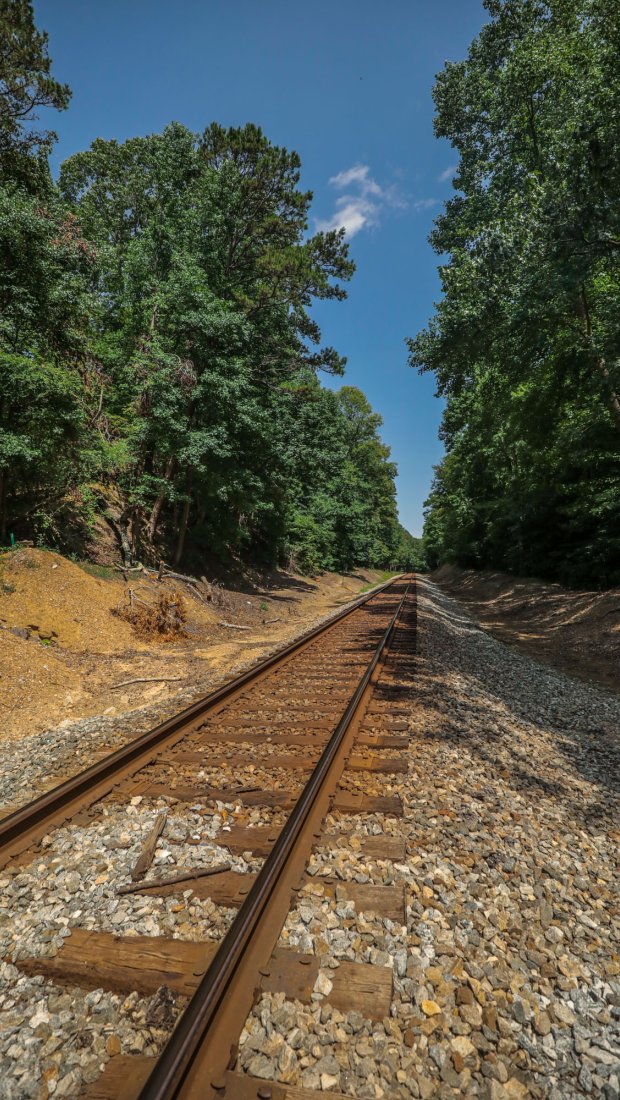 Railroad tracks flanked by trees under a clear blue sky.