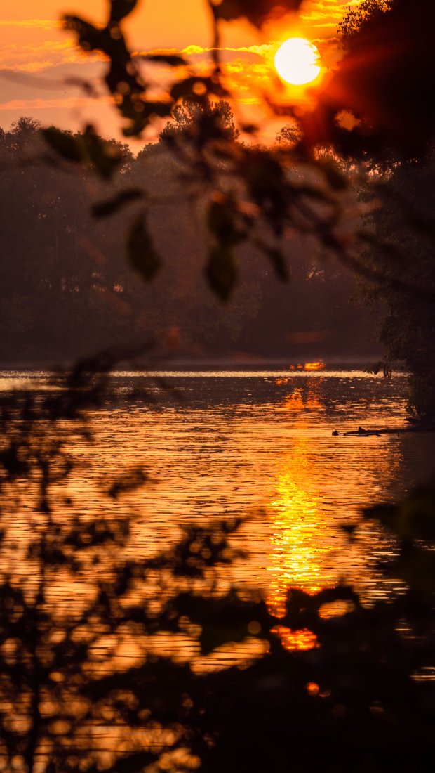 Sunset over a calm lake, framed by silhouetted leaves. The sky and water glow in warm hues of orange, exuding a serene, picturesque ambiance.
