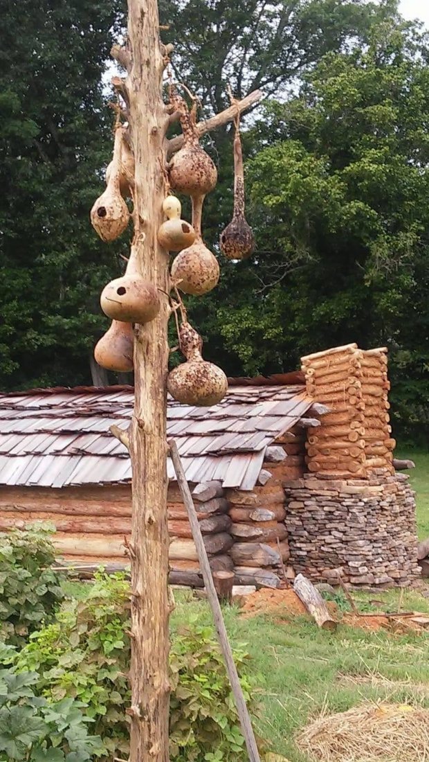 Rustic log cabin with a stone chimney is set in a lush green area. A pole with dried gourds hangs in the foreground, adding a natural touch.