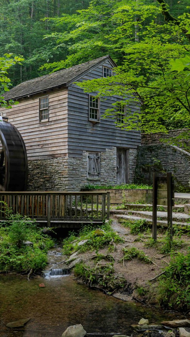 historical watermill surrounded by green trees in the spring