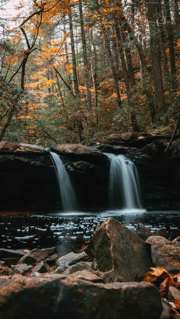 A serene forest scene with a small waterfall cascading over rocks into a tranquil pool, surrounded by autumn foliage in warm orange tones.