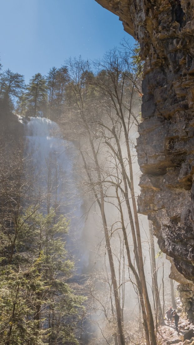 A majestic waterfall cascades down a rocky cliff surrounded by tall trees. Sunlight beams through the mist, creating a serene, ethereal atmosphere.