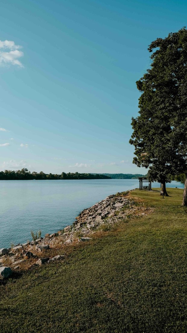 view of river with a wooden bench by a tree in the distance