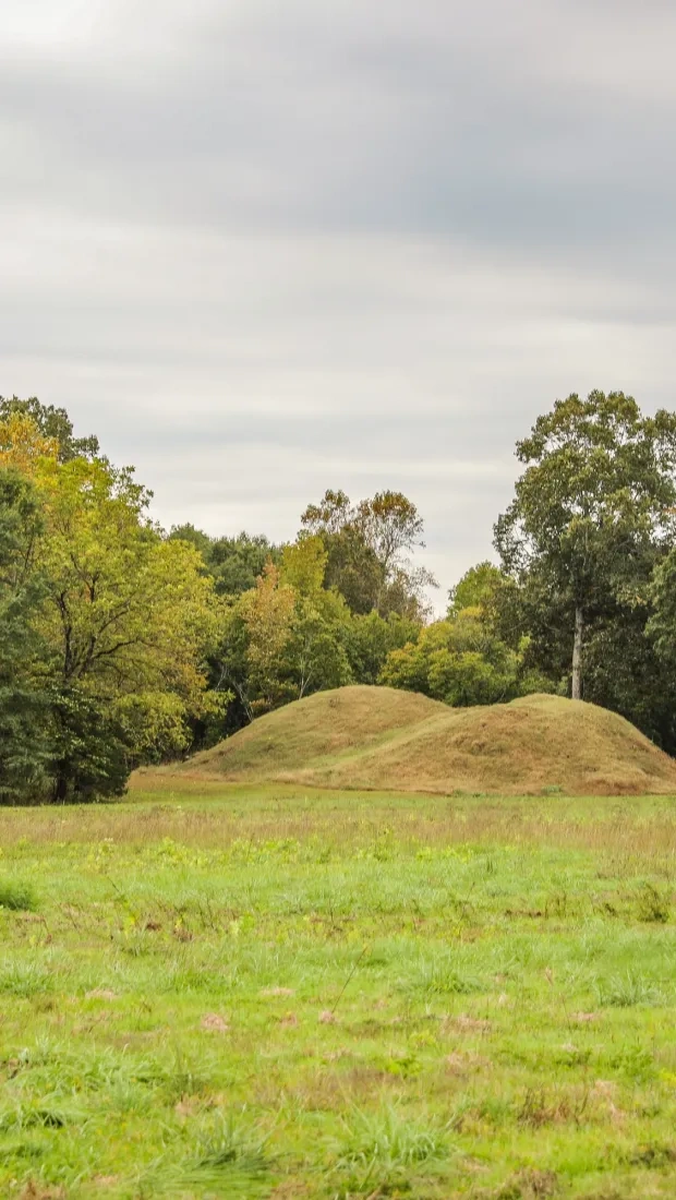 two mounds in a grass field with trees in the distance