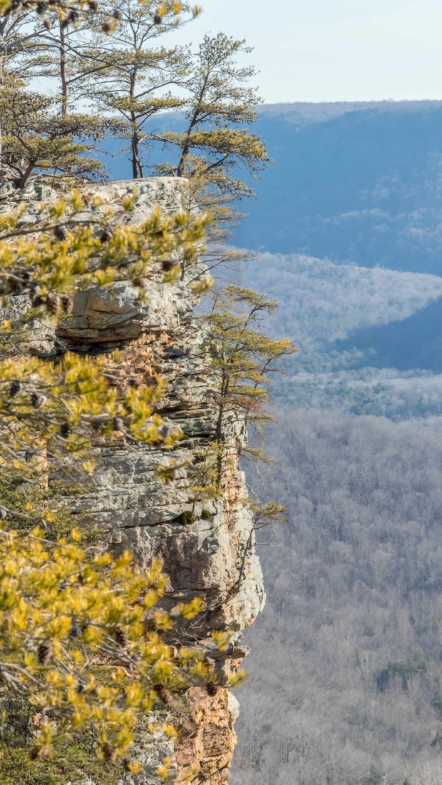 mountain landscape in background of image. Trees on the edge of the cliffs overlook