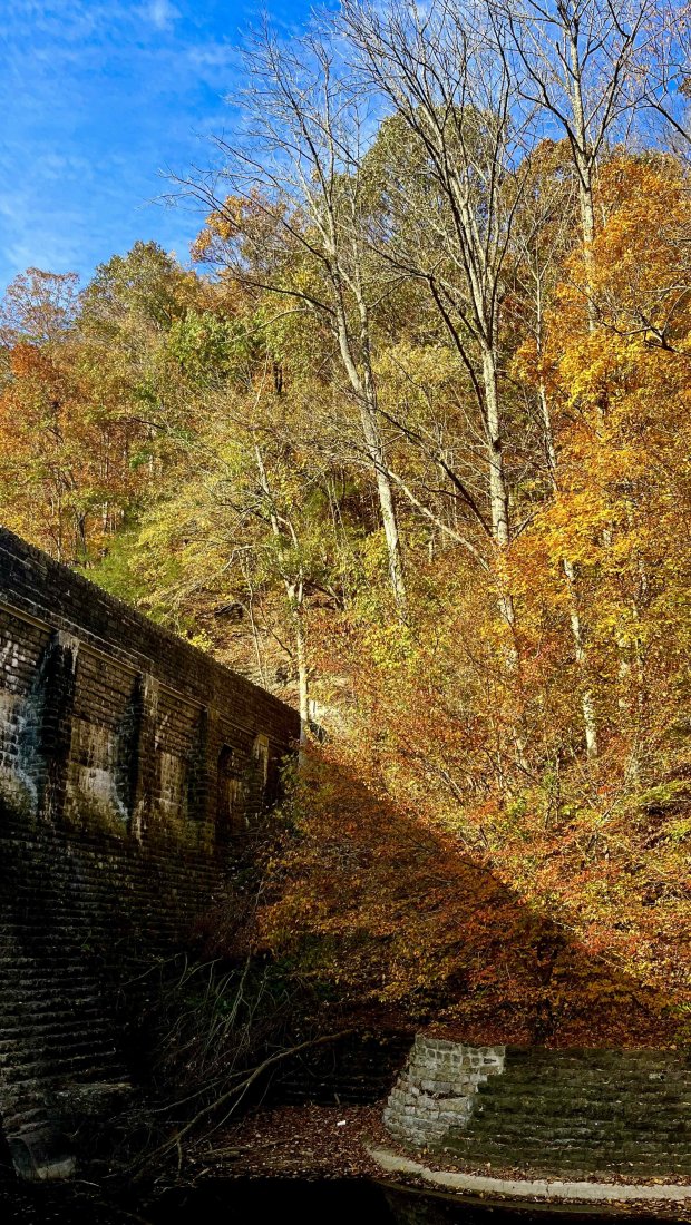 Autumn forest with vibrant orange and yellow leaves behind a stone dam structure. A clear blue sky contrasts the warm foliage, creating a serene atmosphere.