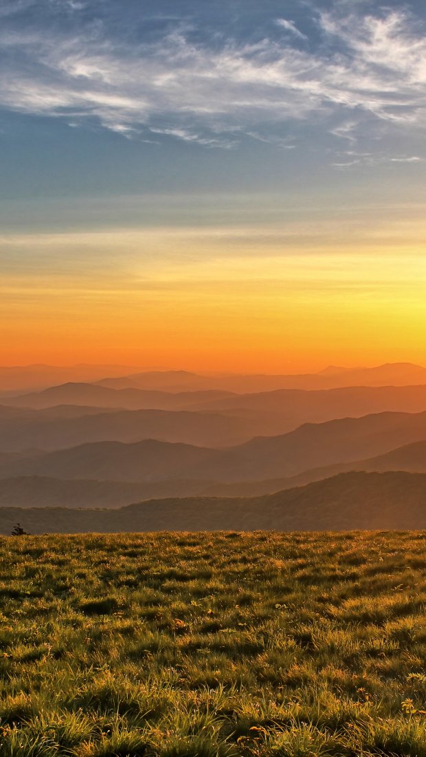 Roan Mountain