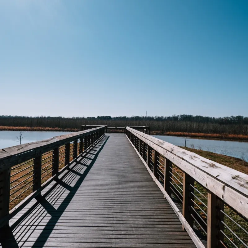 Wooden boardwalk over a river under a clear blue sky.