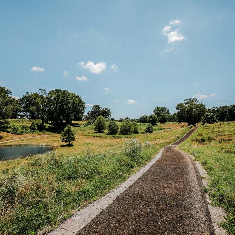 Concrete path that goes along a grass field at T O Fuller